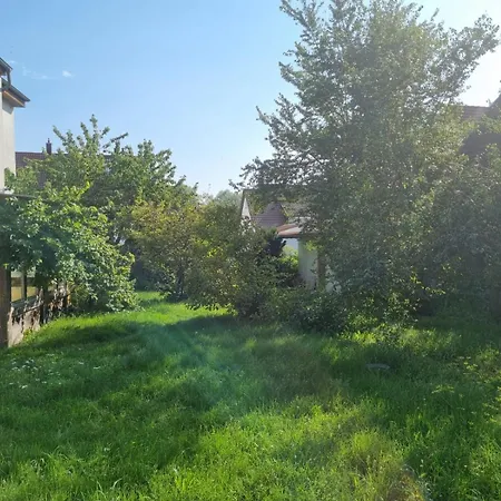 3 Mit Gartennutzung In Zu Vermieten *